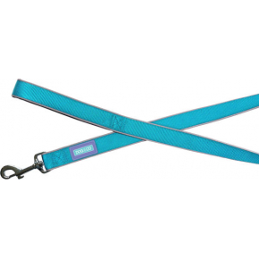 Hem And Boo Reflective & Padded Nylon Lead 1” X 48” (2.5 X 120cm) Aqua